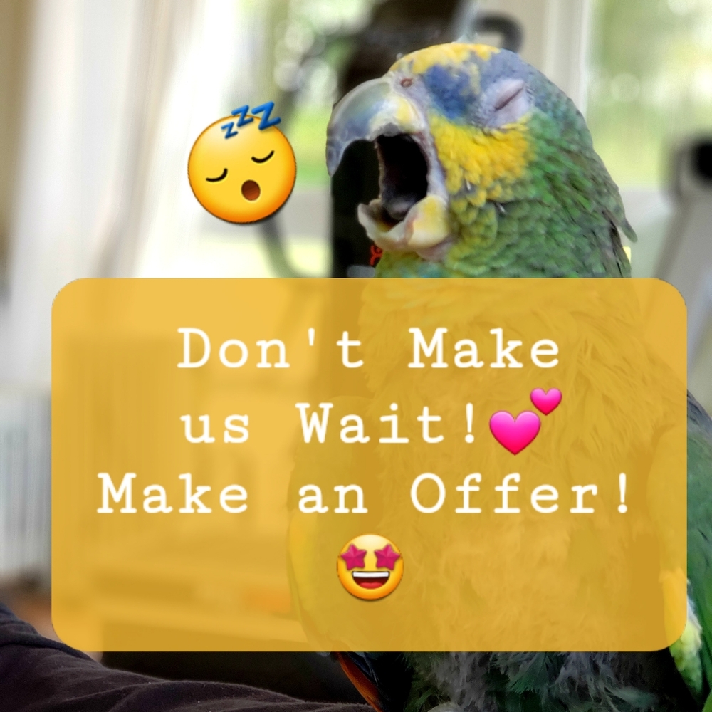 💥 ALL Reasonable Offers Considered 💥